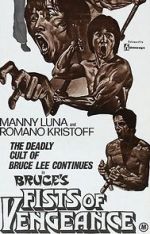 Watch Bruce\'s Fists of Vengeance Solarmovie