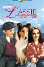 Watch Lassie Come Home Solarmovie