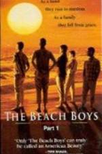 Watch The Beach Boys An American Family Solarmovie
