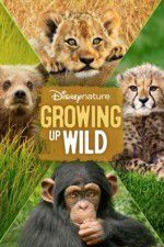 Watch Growing Up Wild Solarmovie