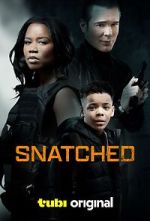 Watch Snatched Solarmovie