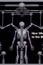 Watch How Wings Are Attached to the Backs of Angels Solarmovie