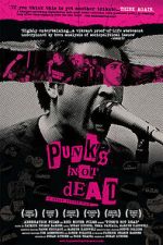 Watch Punk's Not Dead Solarmovie