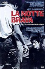 Watch The Big Night Solarmovie