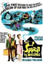 Watch The Spirit Is Willing Solarmovie