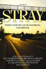 Watch Stray Solarmovie