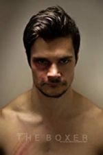 Watch The Boxer Solarmovie