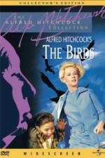 Watch The Birds Solarmovie