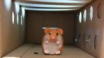 Watch Hamster Hell (Short 2012) Solarmovie