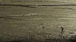 Watch World Without End (No Reported Incidents) Solarmovie