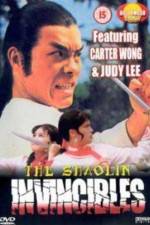 Watch Yong zheng ming zhang Shao Lin men Solarmovie