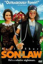 Watch Son in Law Solarmovie