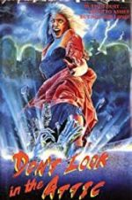 Watch Don\'t Look in the Attic Solarmovie