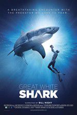Watch Great White Shark Solarmovie