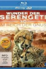 Watch The Wildebeest Migration Natures Greatest Journey Solarmovie
