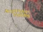 Watch Aberrant Forms: A Jurassic Short Solarmovie