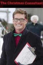 Watch The Christmas Consultant Solarmovie