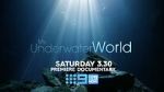 Watch My Underwater World (TV Special 2024) Solarmovie