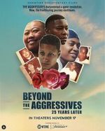 Watch Beyond the Aggressives: 25 Years Later Solarmovie
