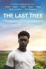 Watch The Last Tree Solarmovie