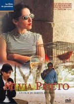 Watch Silvia Prieto Solarmovie