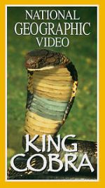 Watch King Cobra Solarmovie