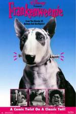 Watch Frankenweenie Solarmovie