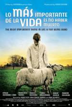 Watch The Most Important Thing in Life Is Not Being Dead Solarmovie