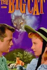 Watch The Big Cat Solarmovie