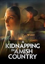 Watch A Kidnapping in Amish Country Solarmovie