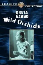 Watch Wild Orchids Solarmovie