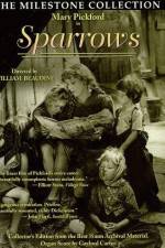 Watch Sparrows Solarmovie