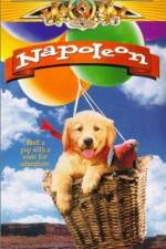 Watch Napoleon Solarmovie