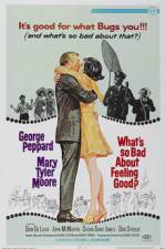 Watch Amigo Solarmovie