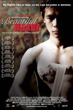 Watch Beautiful Boxer Solarmovie