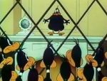 Watch Cracked Quack (Short 1952) Solarmovie