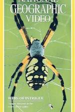 Watch National Geographic's Webs of Intrigue Solarmovie