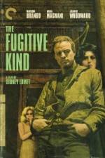 Watch The Fugitive Kind Solarmovie