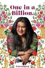 Watch Zarna Garg: One in a Billion Solarmovie