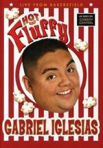 Watch Gabriel Iglesias: Hot and Fluffy Solarmovie