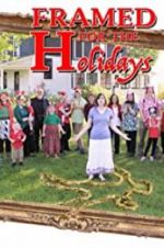 Watch Framed for the Holidays Solarmovie