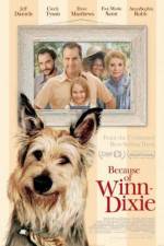 Watch Because of Winn-Dixie Solarmovie