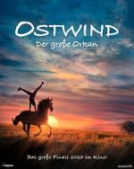 Watch Windstorm: The Great Hurricane Solarmovie