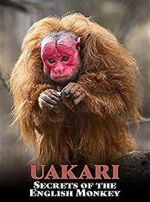 Watch Uakari: Secrets of the English Monkey Solarmovie