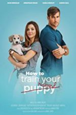 Watch How to Train Your Husband or (How to Pick Your Second Husband First) Solarmovie