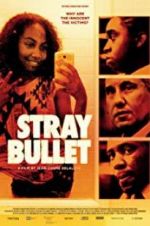 Watch Stray Bullet Solarmovie