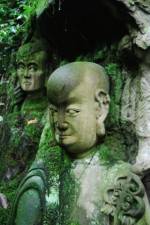 Watch The Thousand Years Old Man (  ) Solarmovie