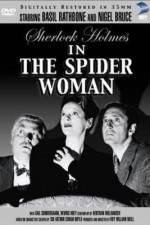 Watch The Spider Woman Solarmovie