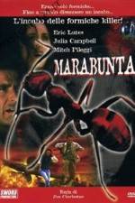 Watch Legion of Fire: Killer Ants! Solarmovie