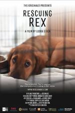 Watch Rescuing Rex Solarmovie